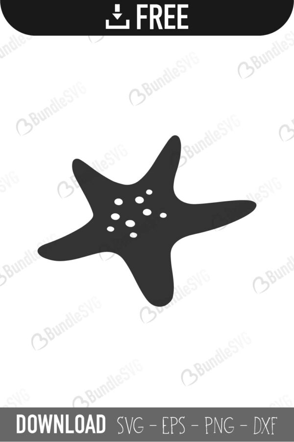 Download Starfish SVG Cut Files Free Download | BundleSVG.com