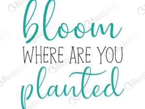 quotes free svg, quotes svg, quotes design, quotes cricut, quotes svg cut files free, svg, cut files, svg, dxf, silhouette, vector, inspirational svg, free svg, love, love quotes, bloom, where, are, you, planted, bloom where are you planted