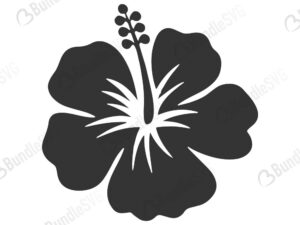 Free Free 162 Cricut Hawaiian Flower Svg Free SVG PNG EPS DXF File