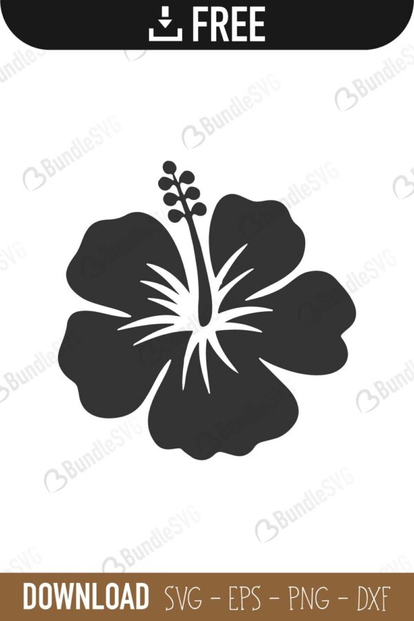 hawaiian, flower, hawaiian flower, hawaiian flower free, hawaiian flower download, hawaiian flower free svg, hawaiian flower svg files, svg free, hawaiian flower svg cut files free, dxf, silhouette, png, vector, free svg files, svg designs, tshirt, tshirt designs, shirt designs, cut, file,