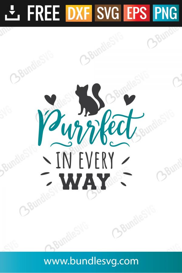 Purrfect In Every Way SVG Files